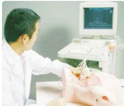 超声中心静脉插管模型